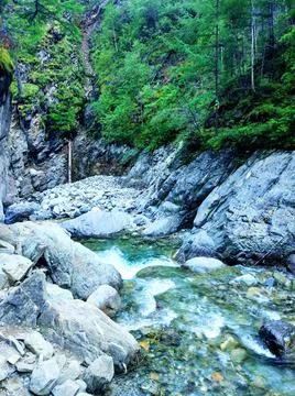 Summer holidays by the river Stock Photos