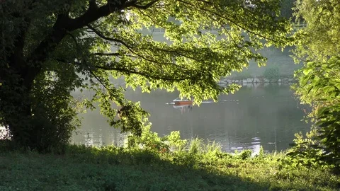 Summer holidays rowing river scenic Stock Footage 74652881