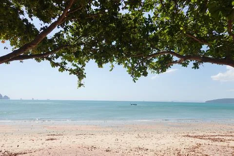 Summer Holidays , Strolling on the sandy beach Stock Photos