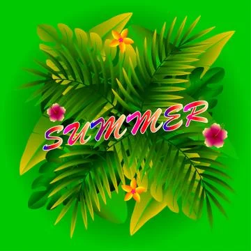 Summer Stock Illustration