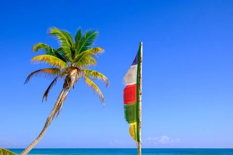 Summer image of palm tree and Buddhist prayer flag Stock Photos
