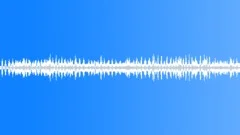 Summer Insect Sounds NightSound Effect