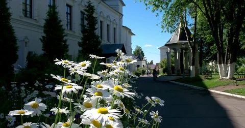 Summer inside the monastery Stock Footage 77729288