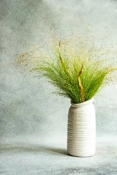 Summer interior card Stock-Fotos