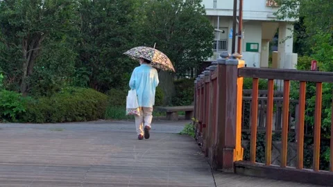 In the summer of Japan it is very common to see people using umbrellas, Video stock 138907927