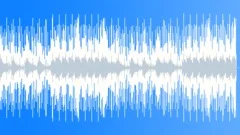 Summer JazzStock Music