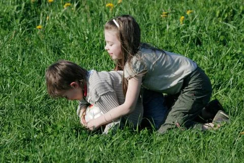 Summer joy Stock Photos