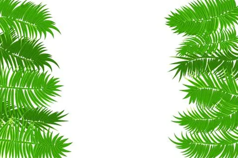 Summer jungle palm leaf frame Stock Illustration