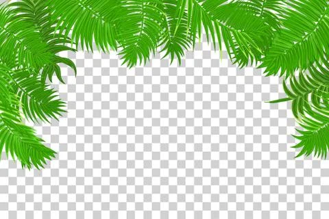 Summer jungle palm leaf frame Stock Illustration