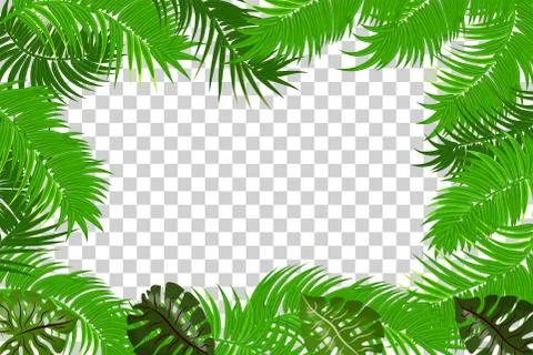 Summer jungle palm leaf frame Stock Illustration