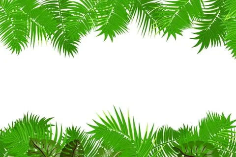 Summer jungle palm leaf frame Stock Illustration
