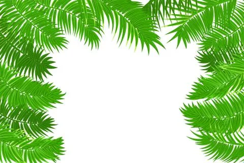 Summer jungle palm leaf frame Stock Illustration