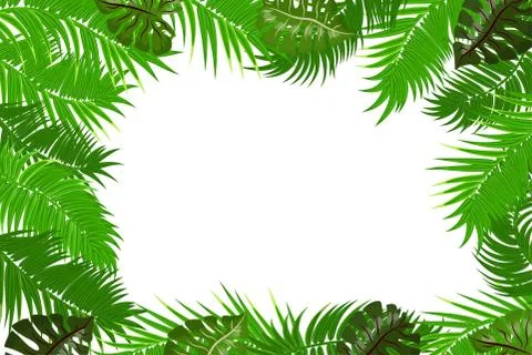 Summer jungle palm leaf frame Stock Illustration
