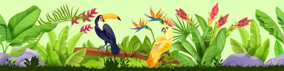 Summer jungle seamless border, vector tropical nature background, toucan 스톡 일러스트