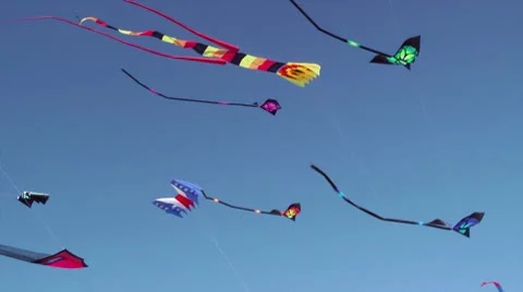 Summer kites flying against blue sky - kite festival Stock Footage