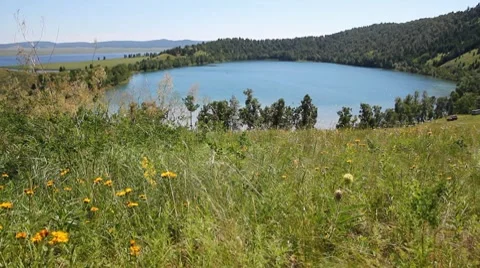 Summer Lake 1 스톡 동영상 7740573