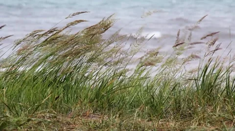 Summer Lake 16 Stock Footage 7740631