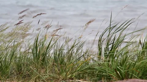 Summer Lake 17 Stock Footage 7740624