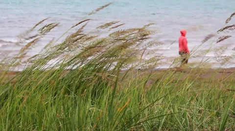 Summer Lake 18 Video stock 7740634