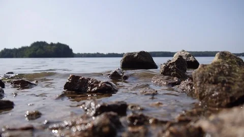 Summer at the Lake 1b Stock Footage 79641589