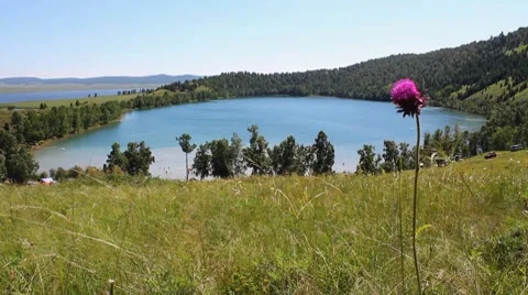 Summer Lake 3 Video stock 7740563
