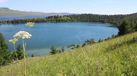Summer Lake 5 Stock Footage 7740562