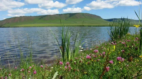 Summer Lake. Stock Footage 800621