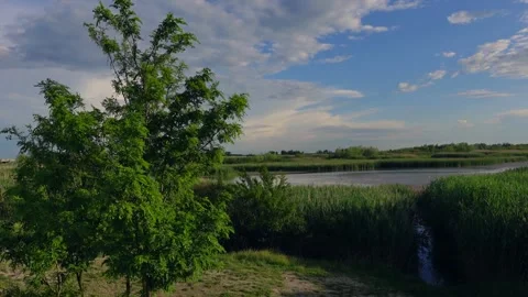 Summer on Lake Stock Footage 155599545