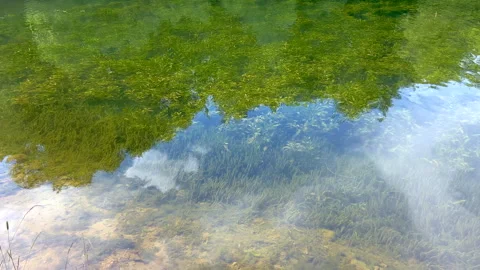 Summer lake Stock Footage 312431724