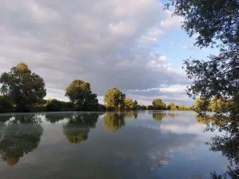 Summer lake landscape with trees reflection and fluffy seeds on water surface Stock Photos