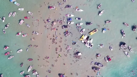 Summer Lake Party Video stock 78013639