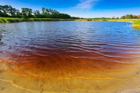 Summer on lake Stock Photos