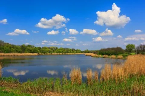 Summer on lake Stock Photos