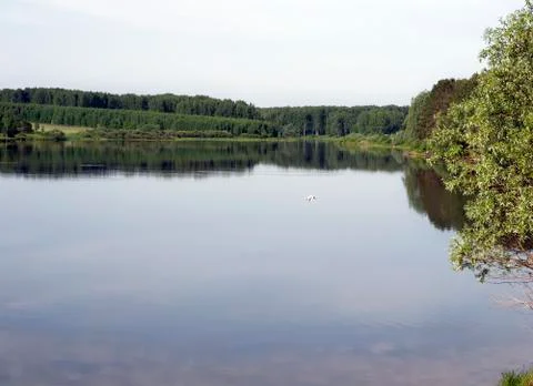 Summer lake Stock Photos