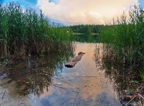 Summer lake Stock Photos