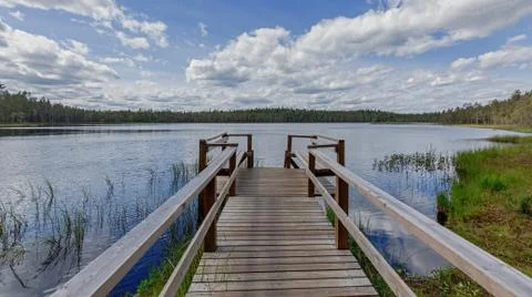 The summer lake Stock Photos
