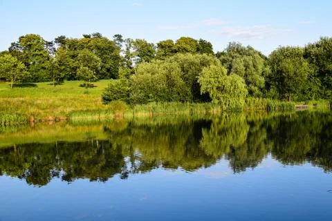Summer lake reflections 库存照片
