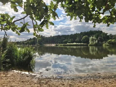 Summer lakeside Stock Photos