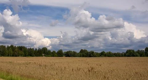 Summer land  Stock Photos