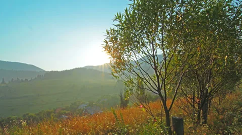 Summer landscape. 4K. FULL HD, 4096x2304. Stock Footage 34533380