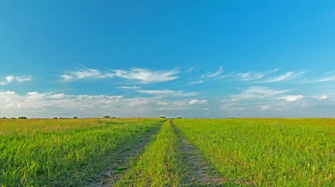 Summer landscape. 4K. FULL HD, 4096x2304. Stock Footage 34649549