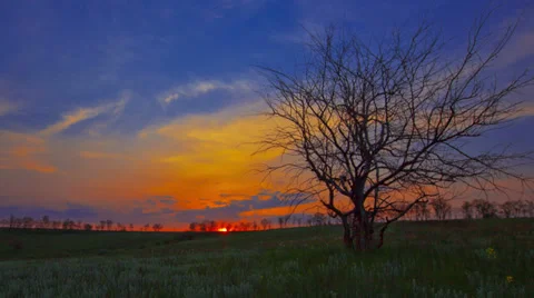 Summer landscape . 4K. FULL HD, 4096x2304. Stock Footage 34972148