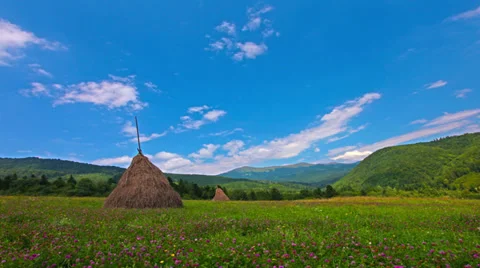Summer landscape. 4K. FULL HD, 4096x2304. Stock Footage 35287107