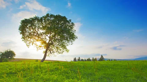 Summer landscape. 4K. FULL HD, 4096x2304. Stock Footage 35535822