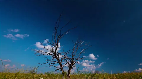 Summer landscape. 4K. FULL HD, 4096x2304. Stock Footage 36694950