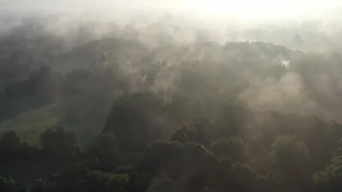 Summer landscape and floating morning fog, aerial Stock Footage 261285053
