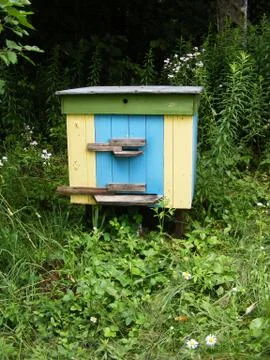 Summer landscape. Apiary Stock Photos