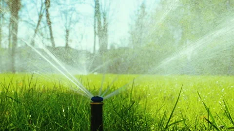 Summer landscape. Automatic watering system for plants and lawn. Slow motion. HD Vidéo 88316061