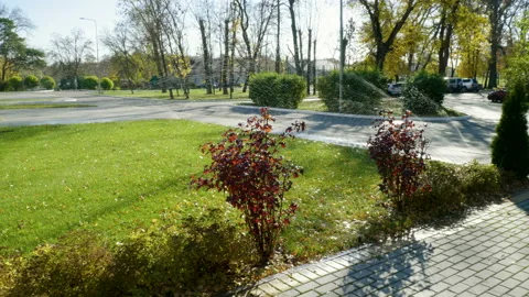 Summer landscape. Automatic watering system for plants and lawn. 4K 库存影片 106670456