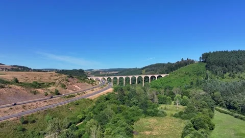 Summer landscape with bridge and forest Stock Footage 320929799